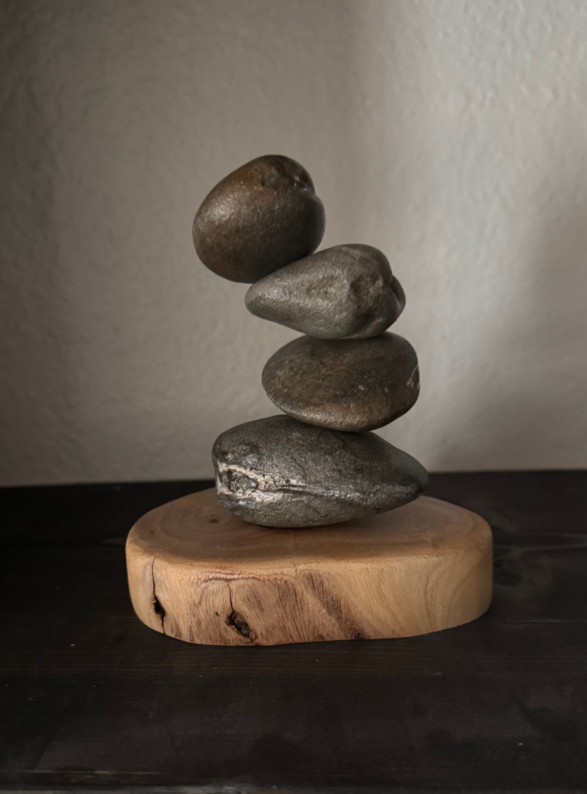 Stacked fossil clams