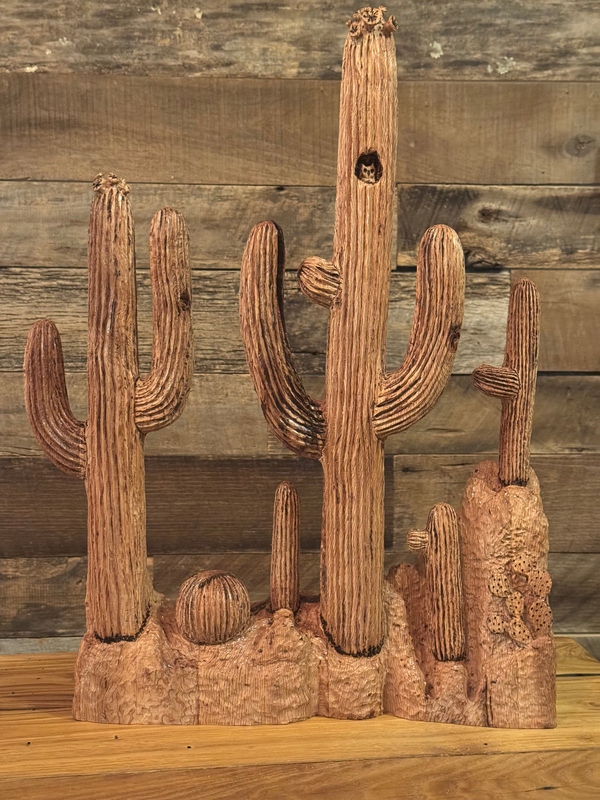 Sonoran cacti