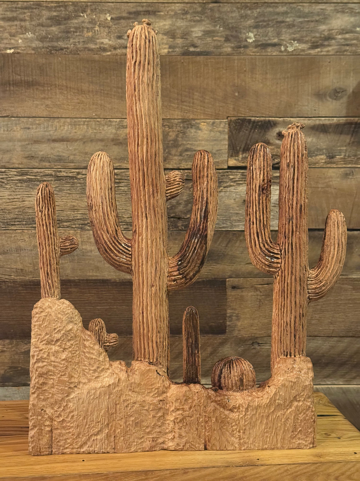 Sonoran cacti